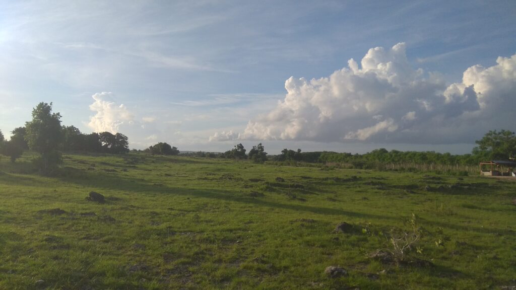 Hijaunya sekitar Bukit Kembar Rindu. Foto: Google Maps / Agung Firmanto Budiharto