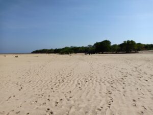 Luasnya hamparan pasir putih di Pantai Kambu Omang. Foto: Google Maps / Ferdinand Anawaru