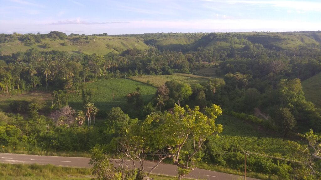 Pemandangan di sekitar Bukit Kembar Rindu, Sumba Timur. Foto: Google Maps / Agung Firmanto Budiharto