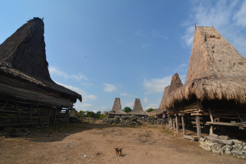 Desa Adat Tossi, Desa Adat di Sumba Barat Daya
